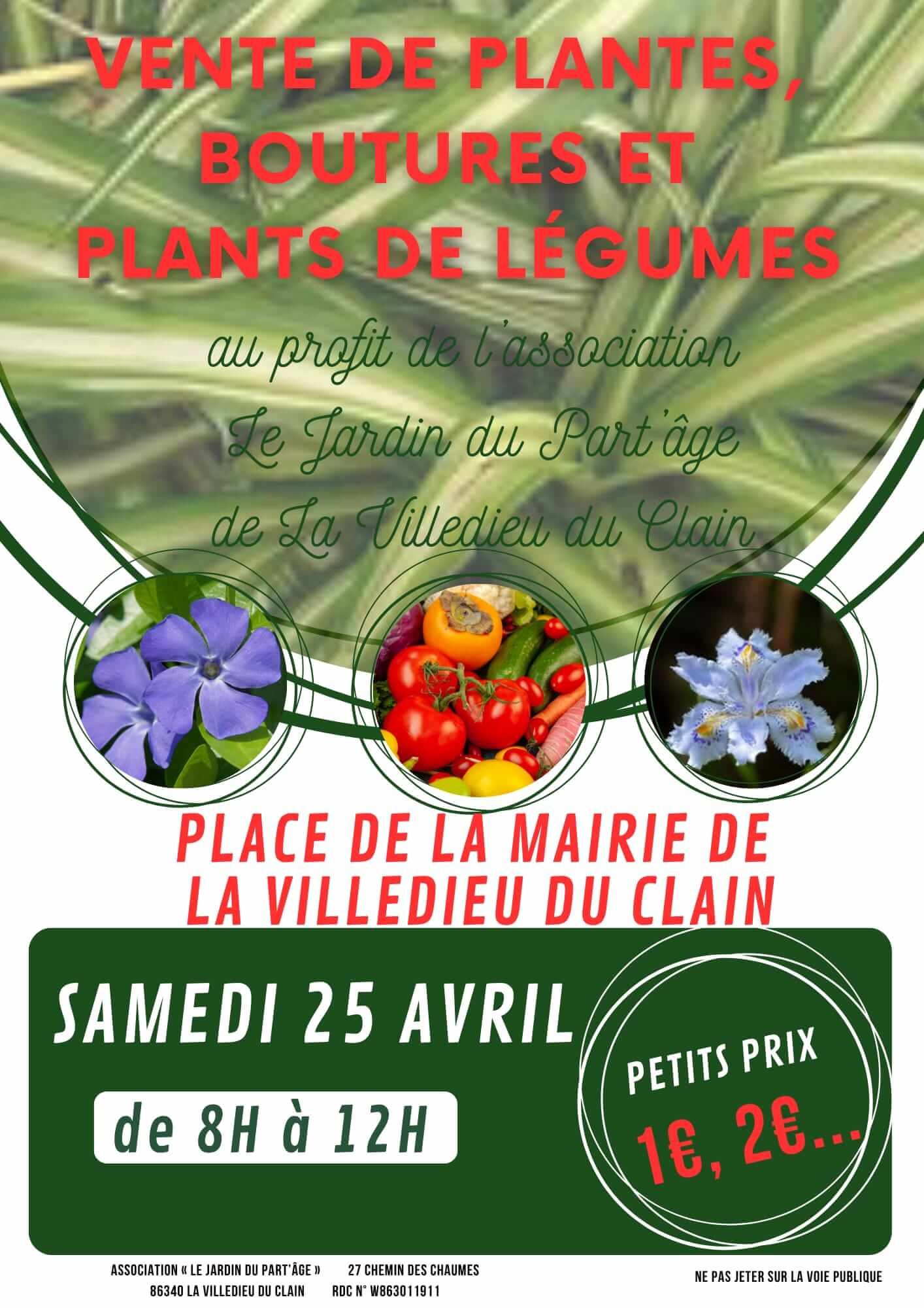 Ventes de plantes et boutures